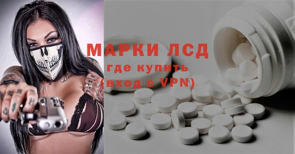 ПСИЛОЦИБИНОВЫЕ ГРИБЫ Рославль