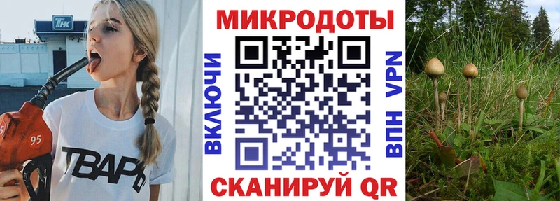 ссылка на мегу сайт  Ермолино  Галлюциногенные грибы Psilocybe 