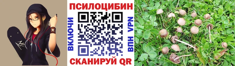 Галлюциногенные грибы Magic Shrooms Ермолино