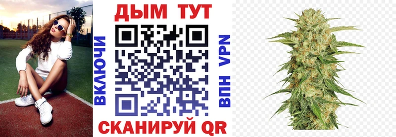 Шишки марихуана марихуана  Ермолино 
